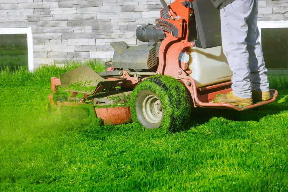 Residential and Commercial Lawn Maintenance image
