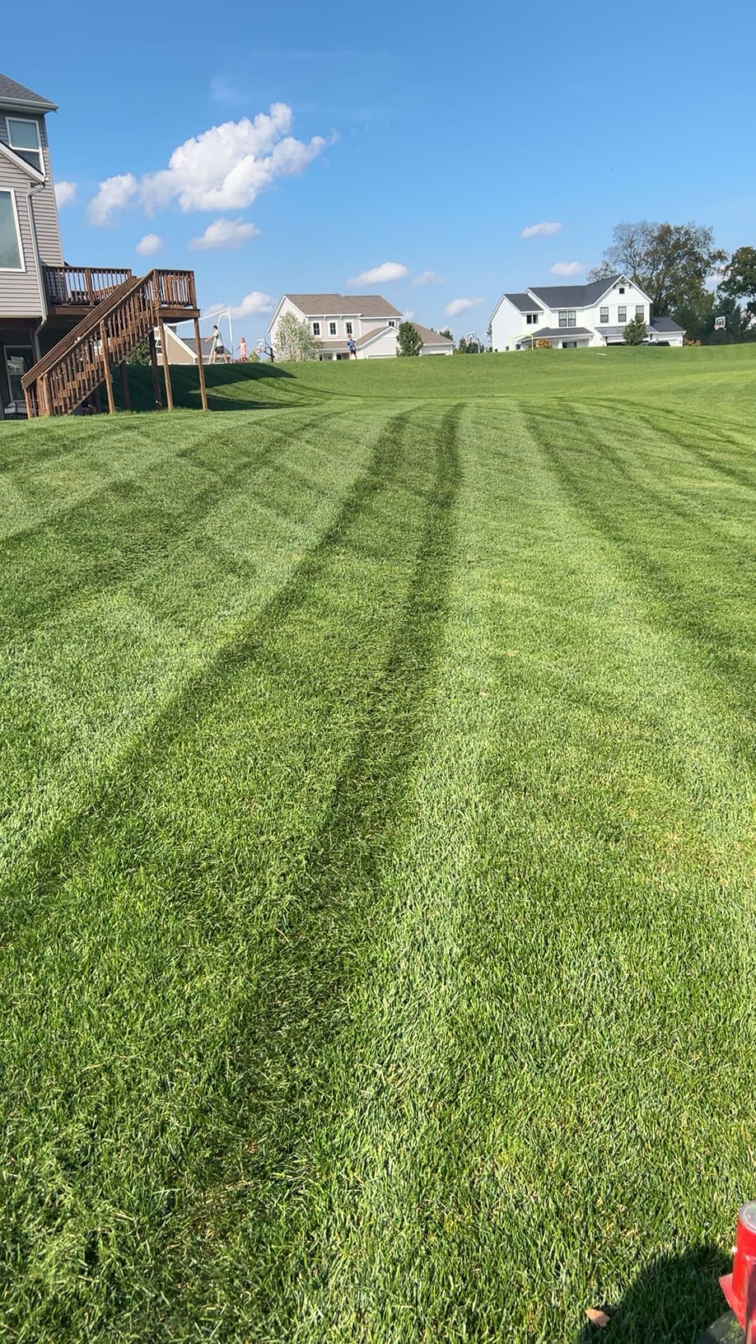 Lush green lawn with mowing stripes and houses in the background under a clear blue sky.