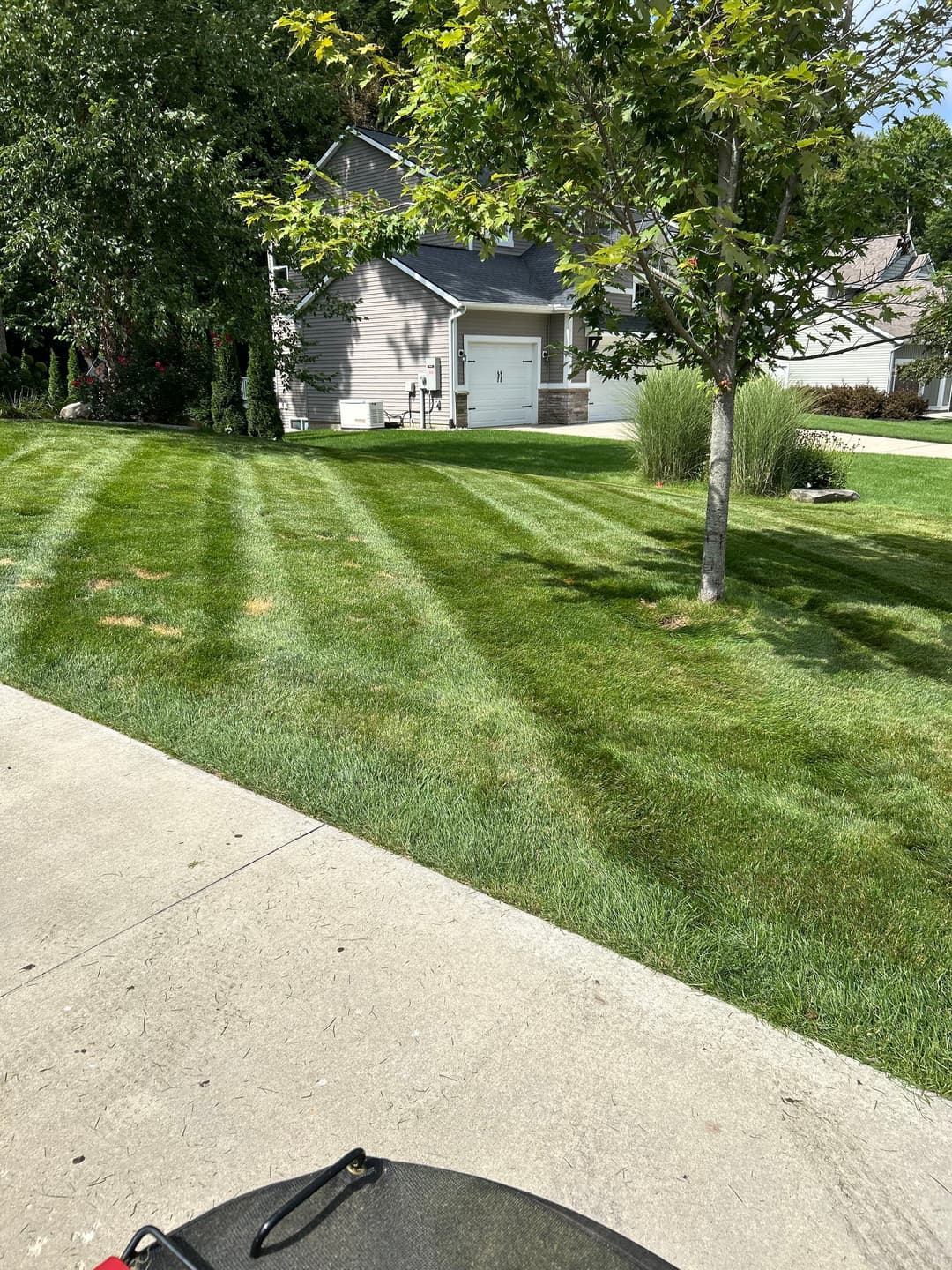 Well-manicured lawn with striped grass and a house in the background. Green trees and shrubs visible.