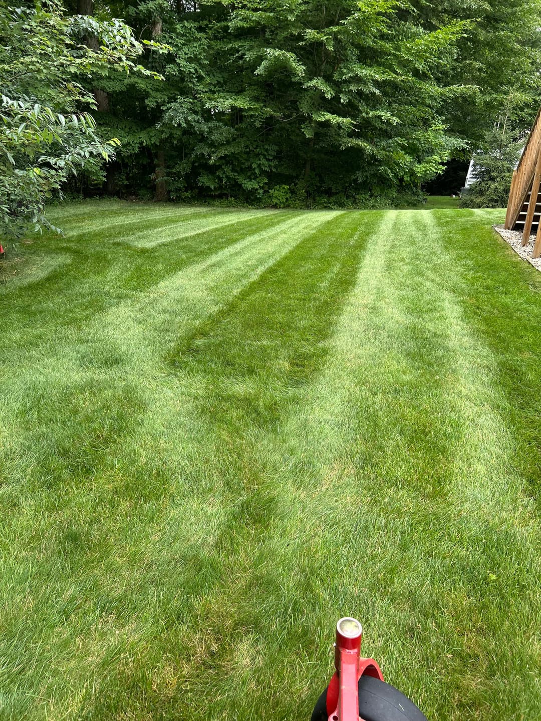 Freshly mowed lawn with crisp stripes and lush green grass surrounded by trees.