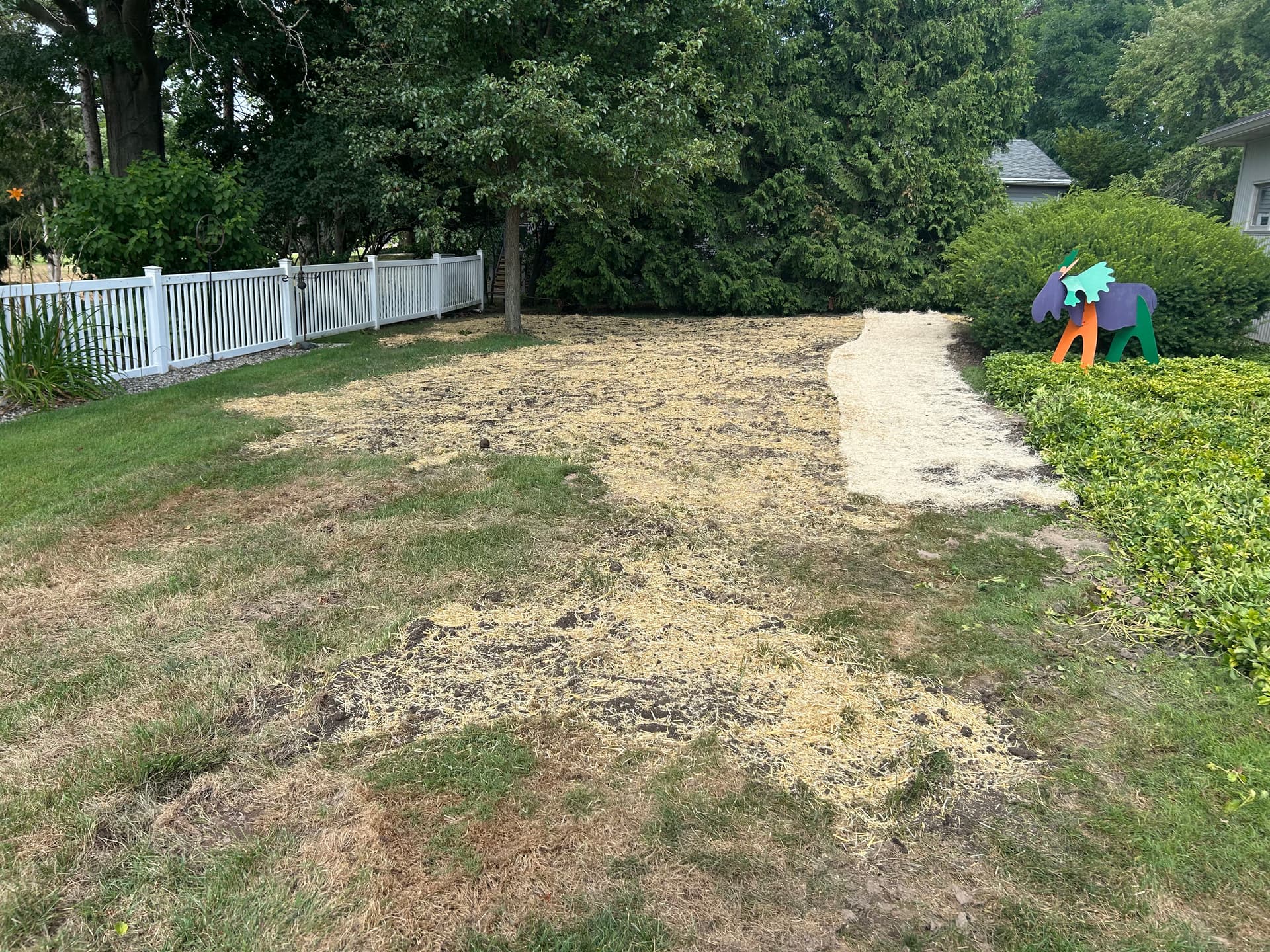 Gallery photos for Gutter Drain Installation and Yard Drainage Fix in Ada: Image #2