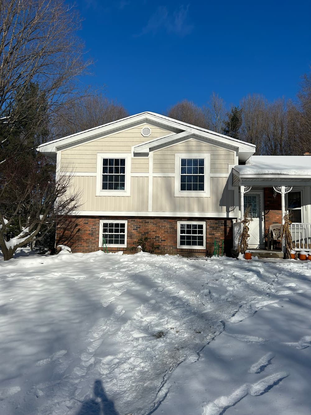 Exterior Accent Wall with New Windows and Mixed Siding in Sparta MI image